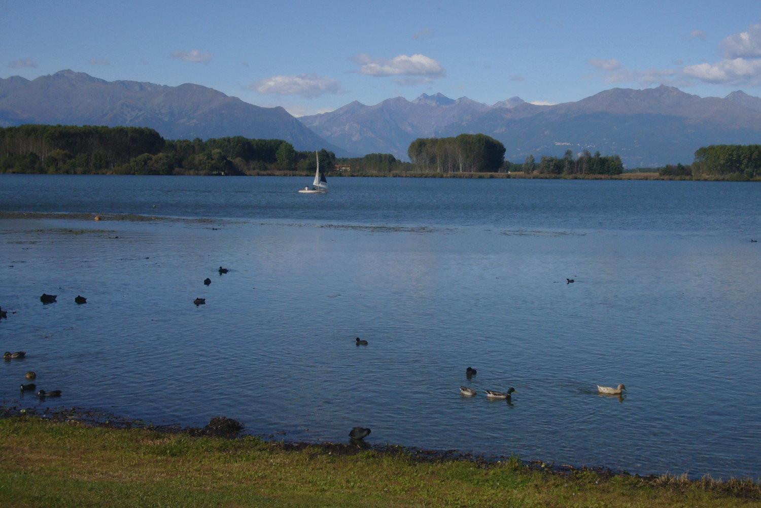 Residenza Del Lago Candia Canavese Dış mekan fotoğraf